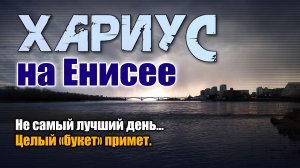 Хариус на Енисее. Не самый лучший день... Целый "букет" примет.