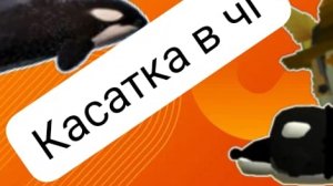 тутор на касатку