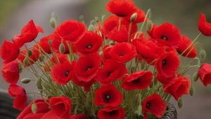 ЧЕТЫРЕ КОРОЛЕВЫ ТАРО РАСКЛАД./НАДЁЖНОЕ ТАРО