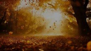 Отпускной круговорот...