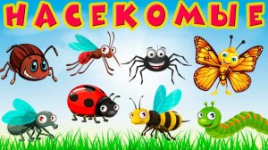 Насекомые для детей 🐝 Учим насекомых 🐞 Насекомые мультик 🐜 Насекомые звуки 🕷 Развивающий мультик