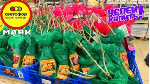 СВЕТОФОР ПРИШЛИ КАКИЕ НОВИНКИ! ПРИВЕЗЛИ ВПЕРВЫЕ МАЯК НОВИНКИ