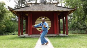 Техника Вьет Во Дао