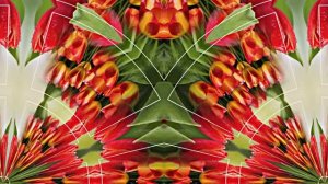 С Днём Рождения!!! Весенний сон 2!!! Музыкальная открытка от Киностудии Мудрого Кота Тимофея!