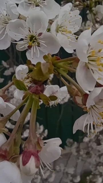 Архив 2020 г. (5)