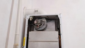 Свист котла Протерм гепард 23 кВт