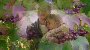 Ф.Малышкин - Ягодка