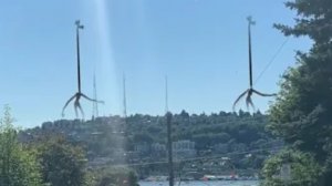 Два сиреноголовых с длинной шеей (видео с канала Paranormal world)