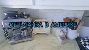 Сельчанка в Америке / В НАШЕМ ГОРОДЕ СЛУЧИЛОСЬ ЧТО ТО ОЧЕНЬ СТРАШНОЕ РИС КАК В КИТАЙСКОМ РЕСТОРАНЕ