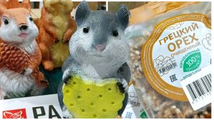 🍊ДОБРОЦЕН✅НОВИНКИ МАГАЗИНА🍊март 2026