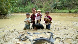 Ловлю рыбу из ила с тремя маленькими детьми. Приготовление корма для свиней. Дуонг