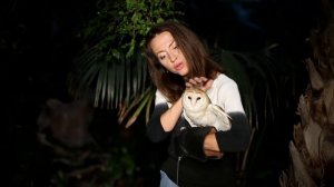 Совы не то, чем кажутся! Всё как у зверей!