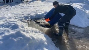 Запуск форели!