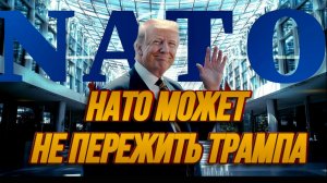 НАТО МОЖЕТ НЕ ПЕРЕЖИТЬ ТРАМПА / ТАМИР ШЕЙХ. новости сводки
