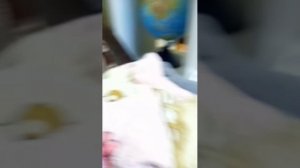 кенч телефон