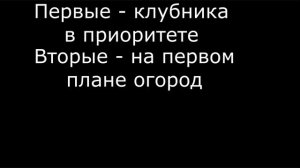 ВЫРАЩИВАНИЕ КЛУБНИКИ! Новое - хорошо забытое старое!