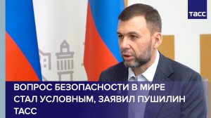 Опыт ОАЭ показывает, что вопрос безопасности в мире стал условным, заявил Пушилин ТАСС