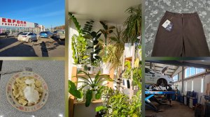 14.03.2026 г Выходной/ Пересадка комнатных растений/ Коррекция ресниц/ Покупка продуктов