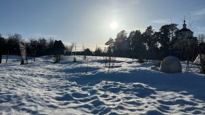 Поездка в деревню, первые работы, перезимовка гортензий, обзор рассадника