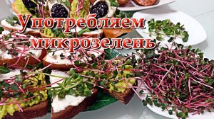 Микрозелень. Как мы её употребляем.