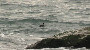 Такое кино 🎥