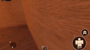 Костя и я играют в фанмейд третьего этажа DOORS.