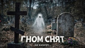 КАМЕРА СНЯЛА СУЩНОСТЬ НА МОГИЛЕ… Люди не верят, но запись всё показала