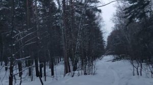 В лесу: как Трамп разрешил разрешённое или о западных понтах, нужно поддерживать веру в силу Запада