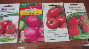 Лучший срок посева. Вот эти томаты для грунта!! Ультраранние, супер урожайные сорта томатов.