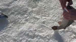 15.03.26 г. РК Волна.