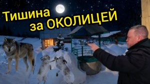 ТИШИНА ЗА ОКОЛИЦЕЙ | Деревенские будни | Дом в деревне | Семья в селе