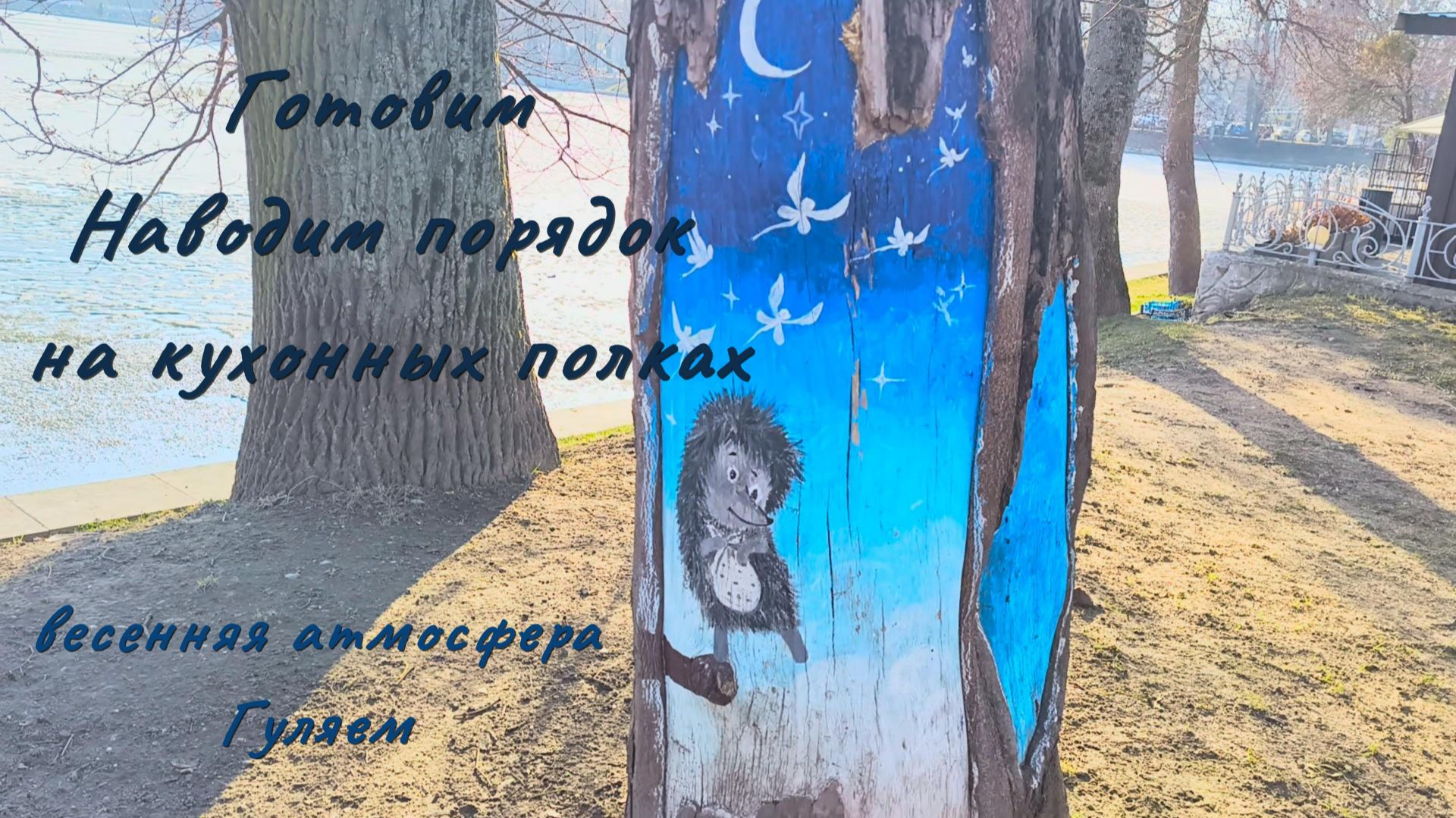 Готовим. Убираемся на кухонных полках. Гуляем.