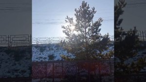 Октябрь 2024г