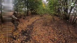 Тик Ток войска ВСУ прочесывают лесо полосу