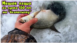 ⭐️Мешок ЛЕЩА на "безмотылку" из лунки 150 мм🔥 Весенний мокрый лёд Рузского водохранилища !!