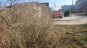 А в кого верите вы?У нас убрались.