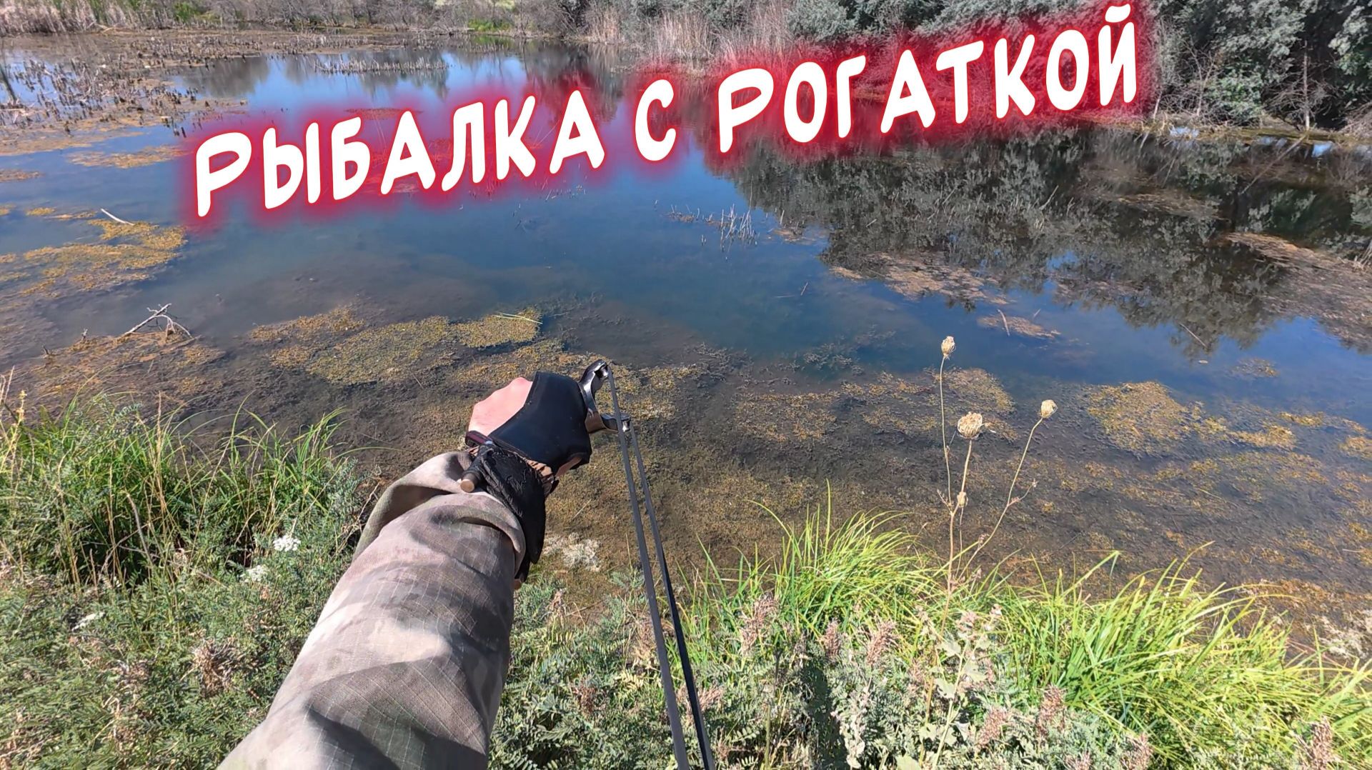 Рыбалка с Рогаткой: Когда Всё Решает Точность 🎯#рыбалканарогатку#fishing#2025 #slingshot #top #рыба