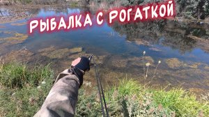 Рыбалка с Рогаткой: Когда Всё Решает Точность 🎯#рыбалканарогатку#fishing#2025 #slingshot #top #рыба