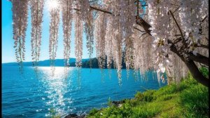 «Екатерина»