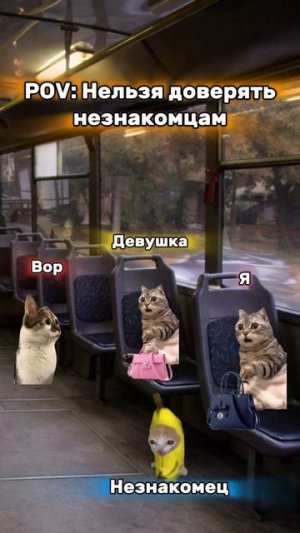 станешь моим подписчиком