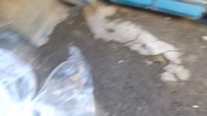 Замена переднего бампера на автомобиле Daewoo Lanos