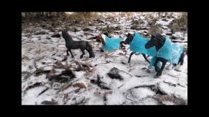 подарок для Avant -gatd, ❤️