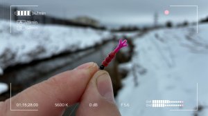 Что за клёв сегодня! Ты только посмотри!