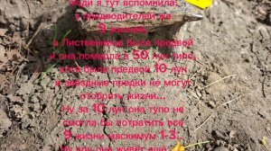 окэк