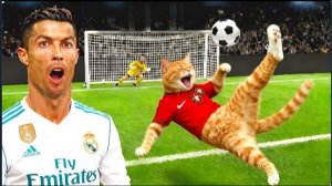 КРИШТЬЯНУ РОНАЛДО vs КОТ. КОТ ПОКАЗАЛ МАСТЕР КЛАСС!!!