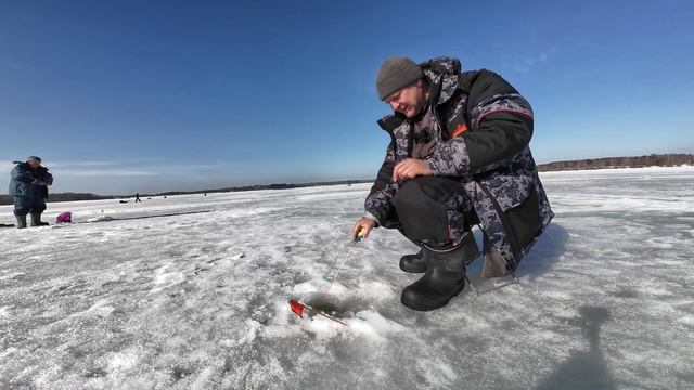 Рыбалка на леща в середине марта. Наверно последний лёд. Выручает плотва