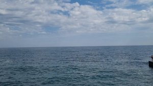 2022_09_11 пишу диссертацию в Ялте