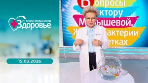 Здоровье. Выпуск от 15.03.2026