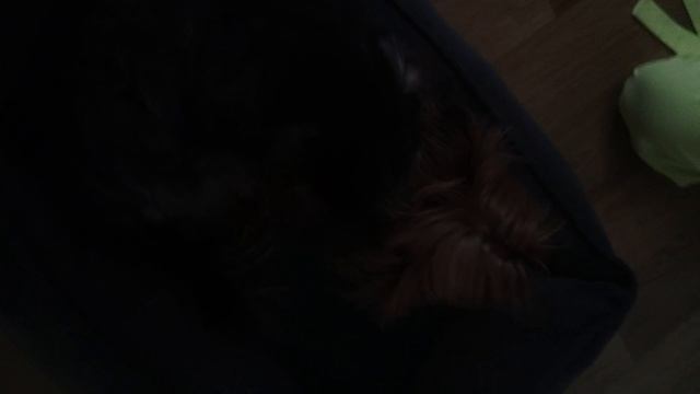 впервые на канал лабубу  мы сняли пол это лава  часть 1