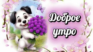 Доброе весеннее утро. Доброе утро, новый день.